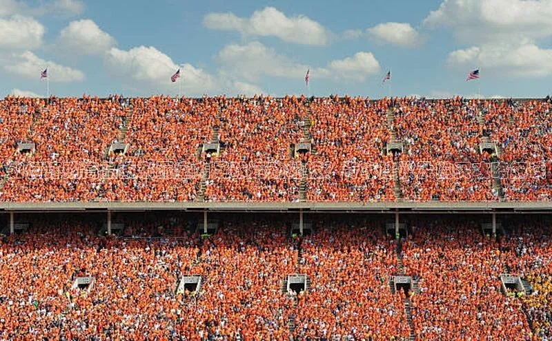 凯捷娱乐中文在线